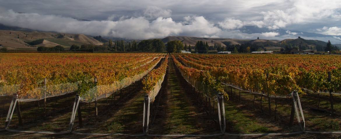 book-autumn-images-008.jpg