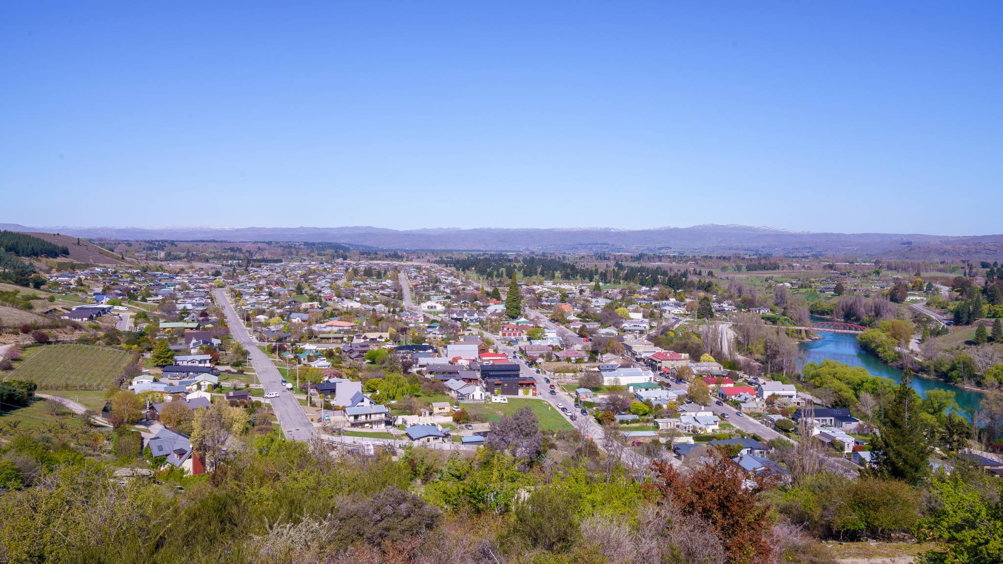 Clyde from lookout